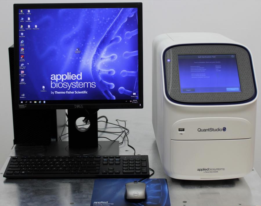 PCR y Termociclador Applied Biosystems QuantStudio 5